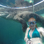 Tour de nado con cocodrilos